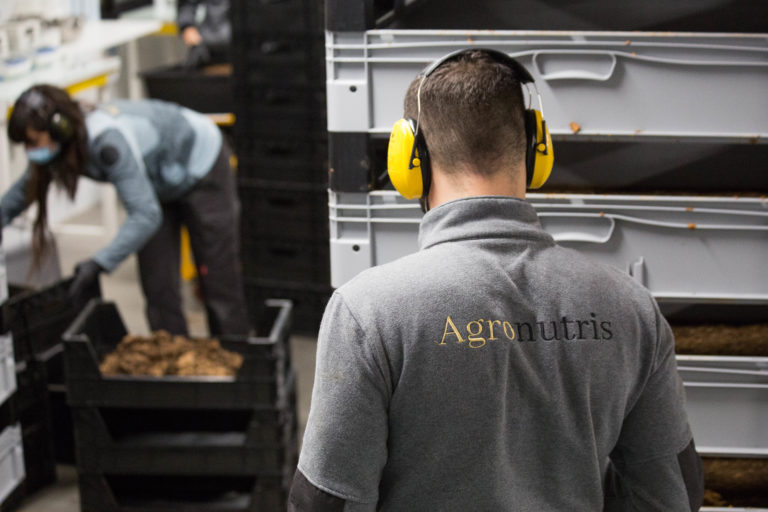 Agronutris et BioMar s’allient pour la prochaine génération d’aliments à base d’insectes pour l’aquaculture