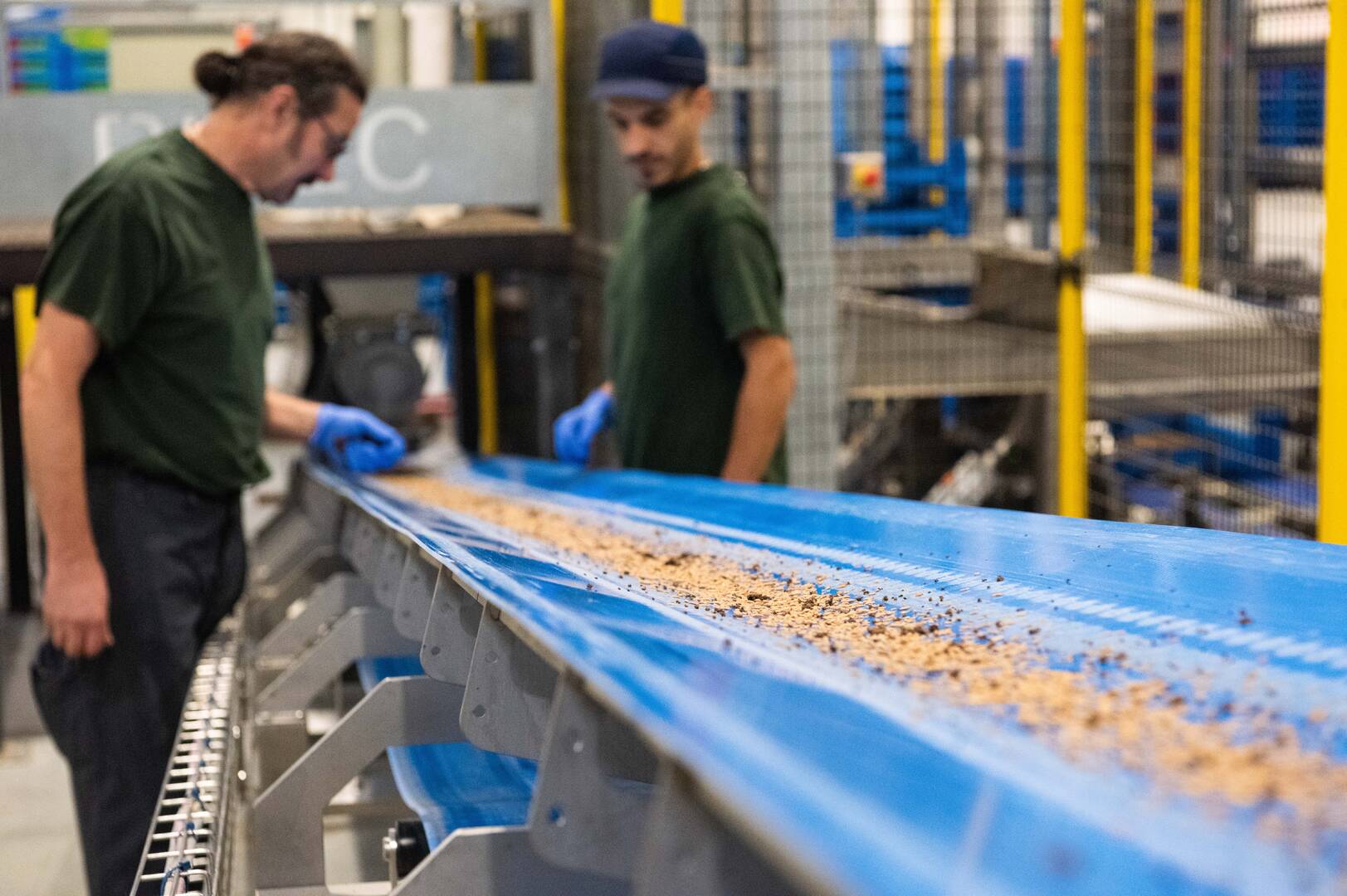 Workers inspecting product on conveyor belt.