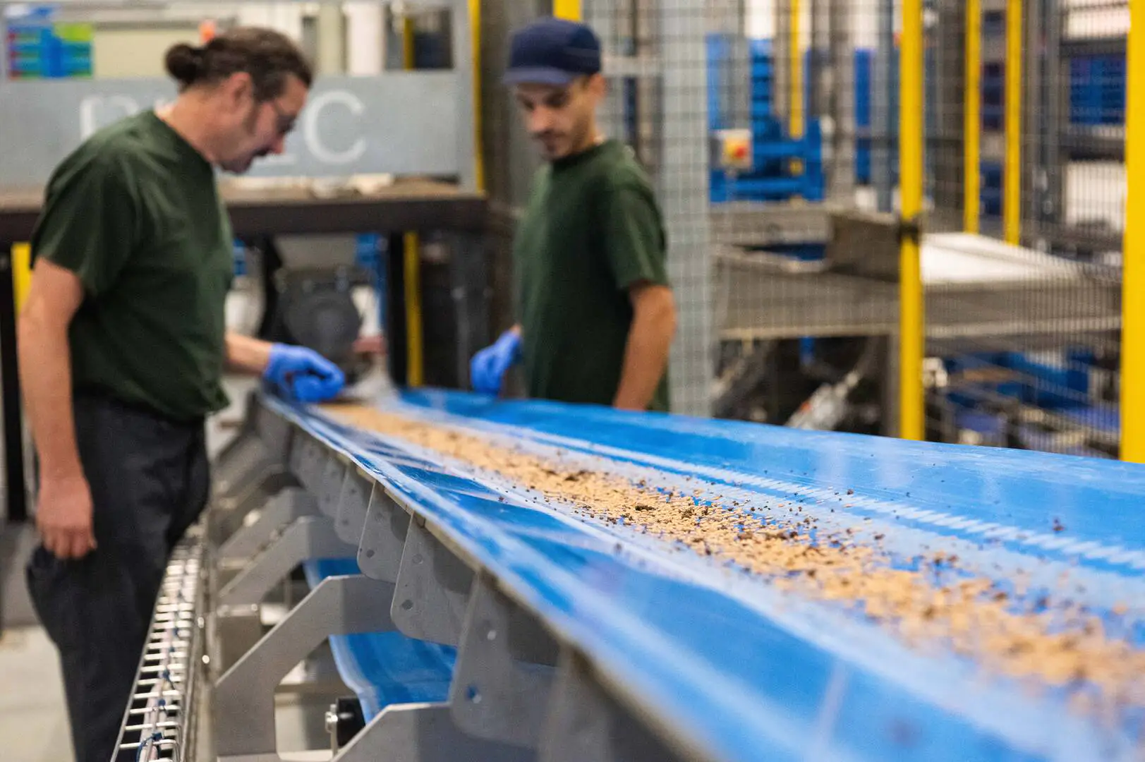 Workers inspecting product on conveyor belt.