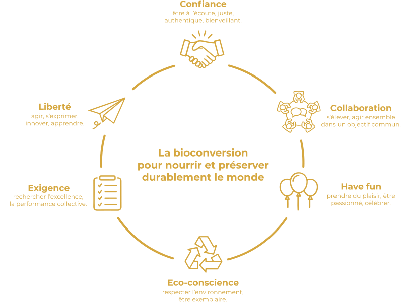 Infographic of corporate values and sustainability concepts.