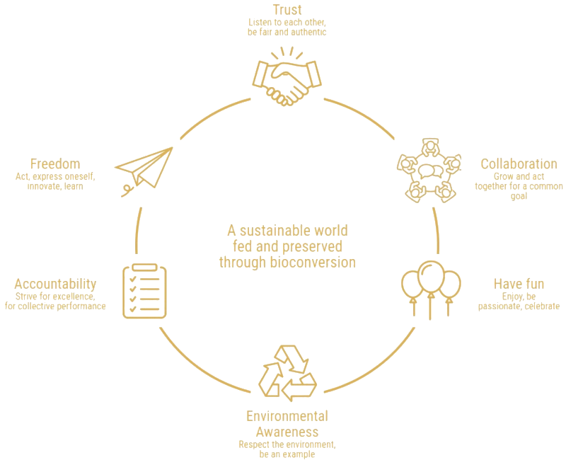 Diagram of sustainable world principles and bioconversion.